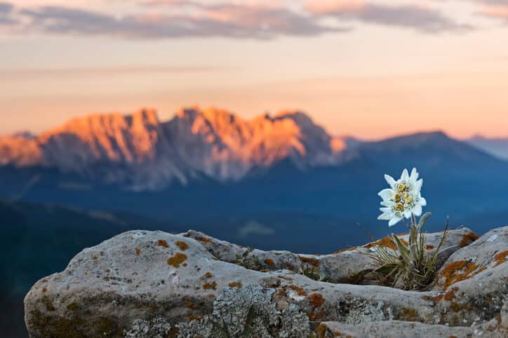 come sviluppare la resilienza