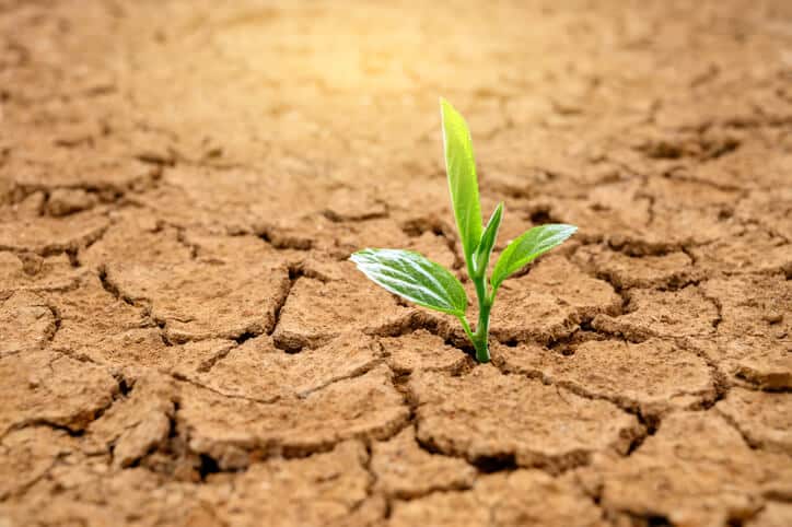 frasi sulla resilienza