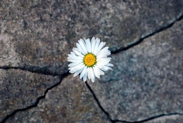 resilienza cos'è e significato in psicologia